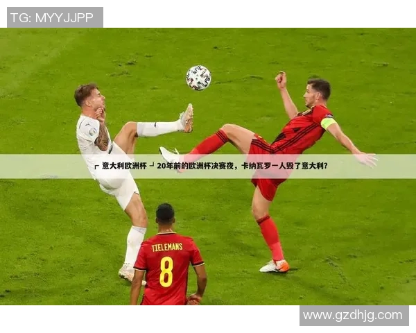 2016欧洲杯精彩瞬间回顾与背后故事的深度纪录片分析