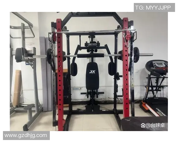 体育健身器材批发价格分析及市场趋势探讨助您选择最佳采购方案