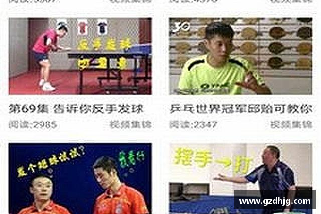 解读金年会